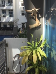 Suites @ Eastcoast (D15), Condominium #171932992